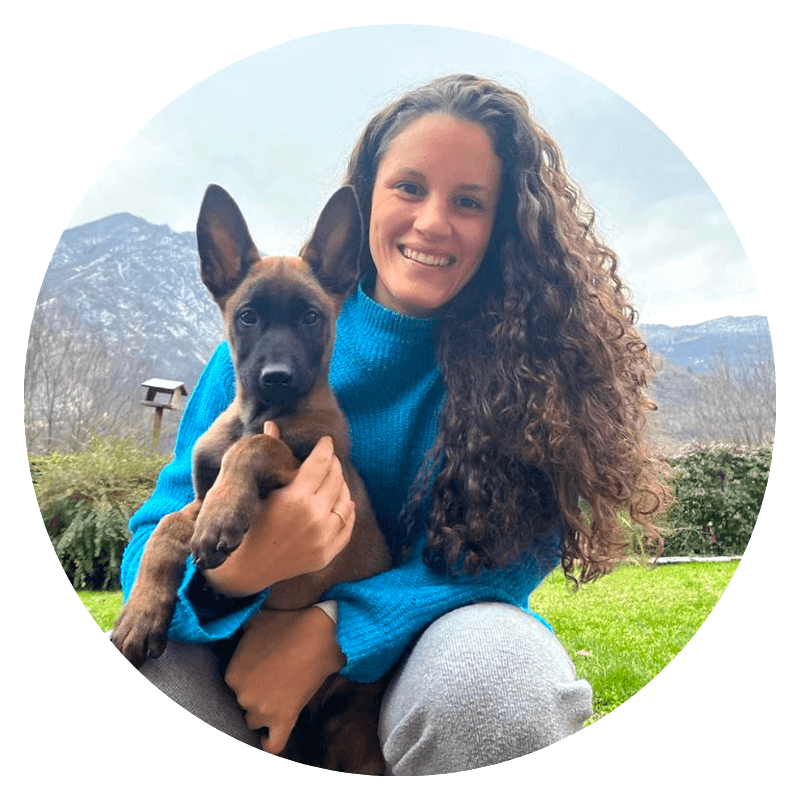 crescere un cucciolo di cane